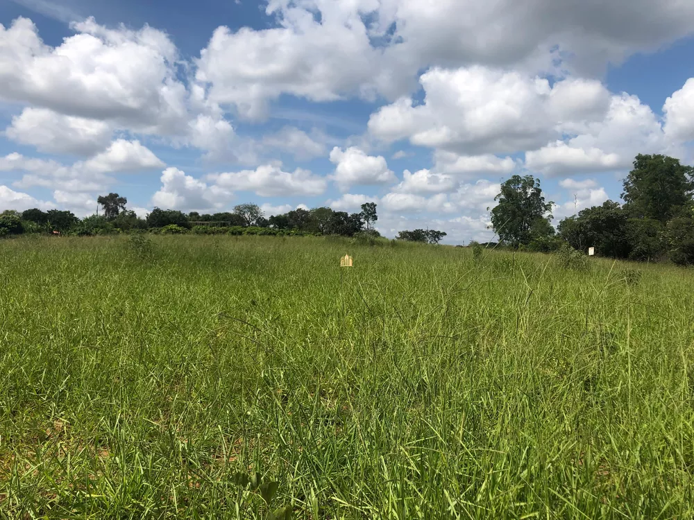 Terreno à venda, 25000m² - Foto 2