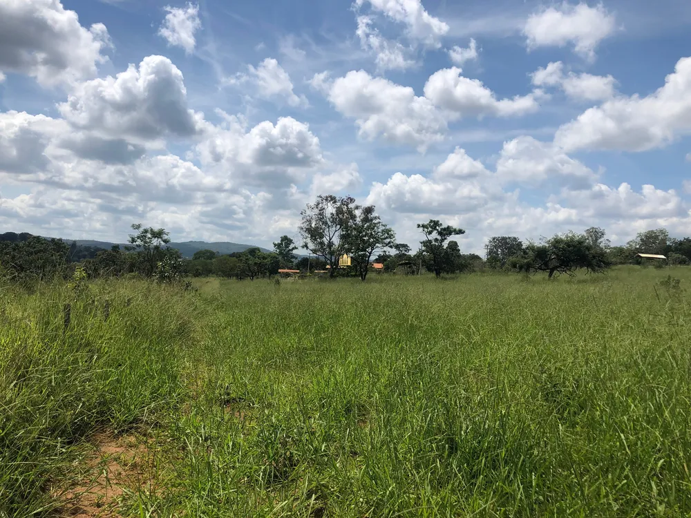 Terreno, 3 hectares - Foto 11