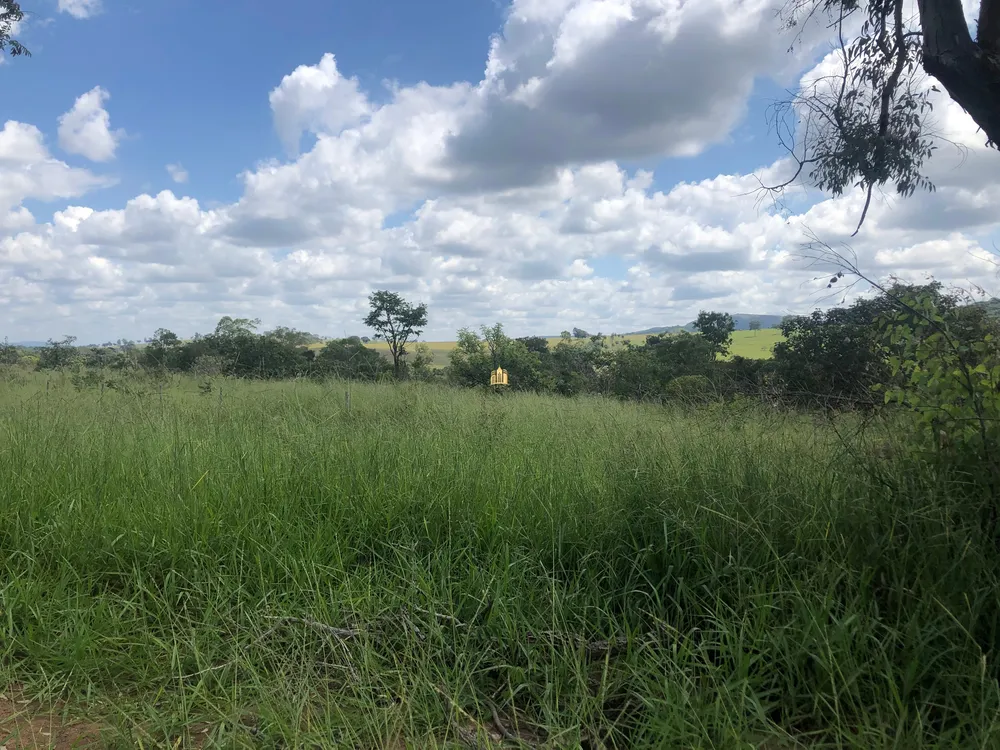 Terreno, 3 hectares - Foto 16