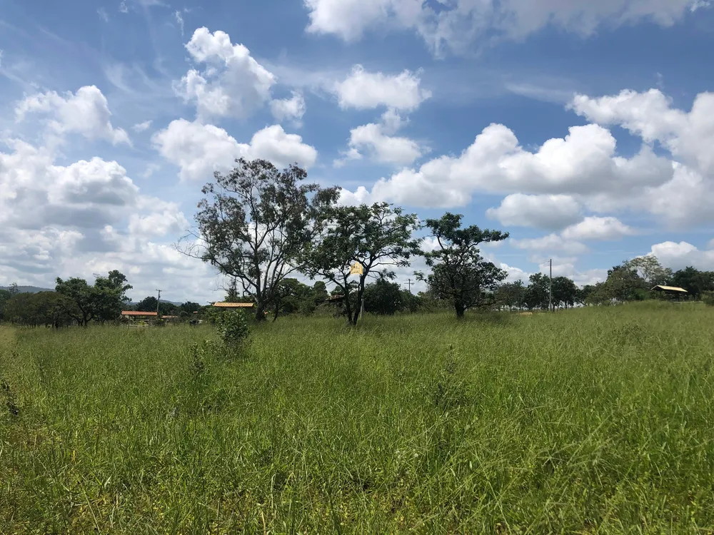 Terreno, 3 hectares - Foto 4