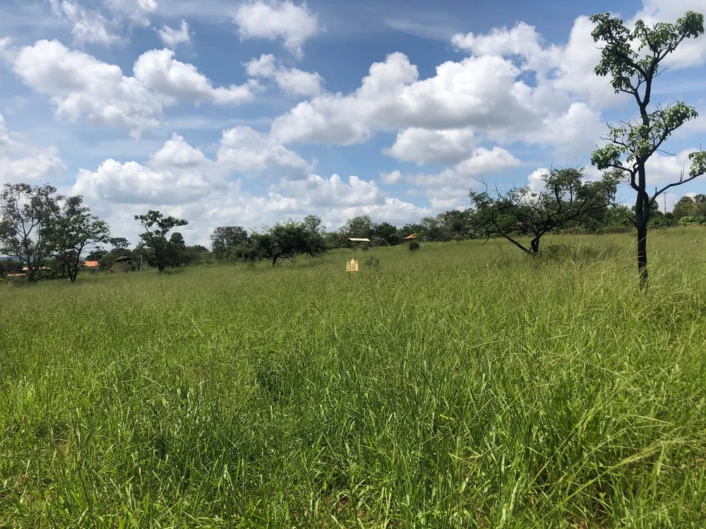 Terreno, 3 hectares - Foto 10