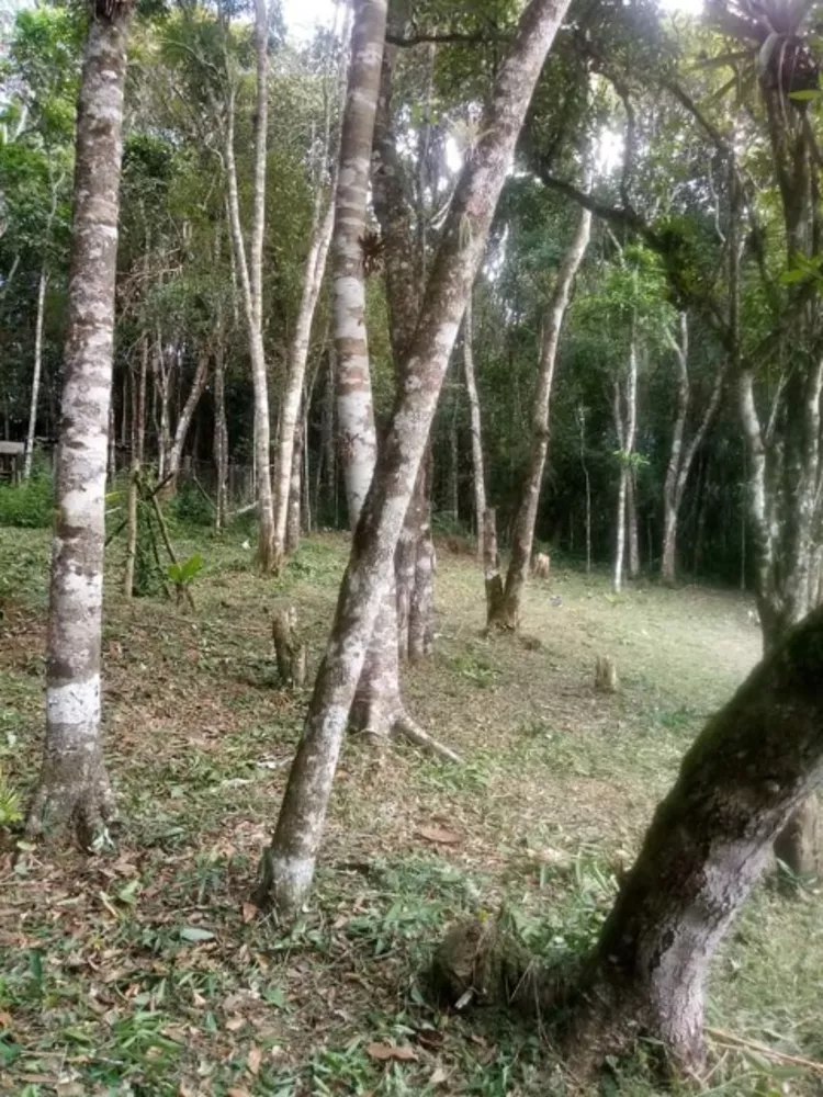 Chácara, 2 quartos, 2000 m² - Foto 10