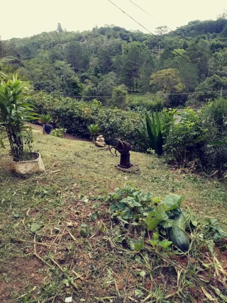 Chácara, 2 quartos, 2000 m² - Foto 3