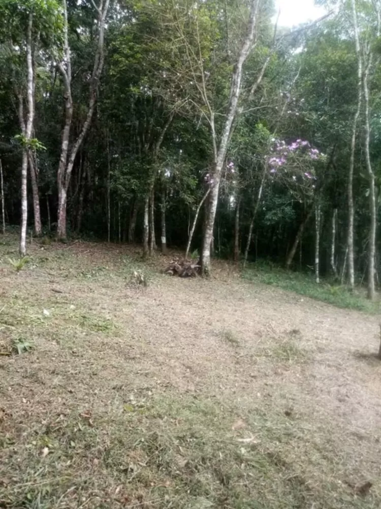 Chácara, 2 quartos, 2000 m² - Foto 11