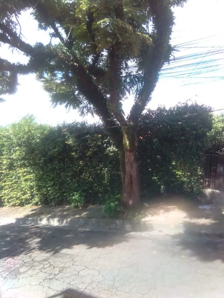 Terreno, 354 m² - Foto 1