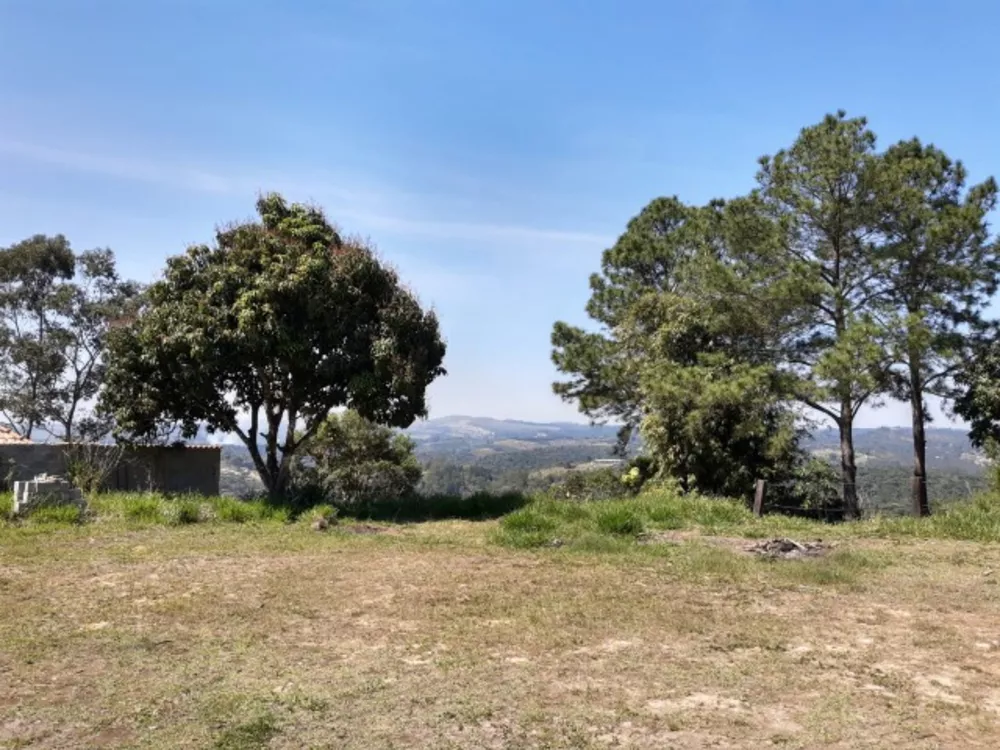 Sítio, 3 quartos, 6760 m² - Foto 1