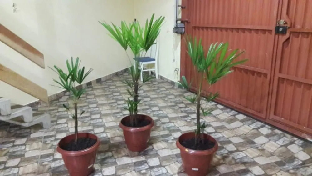 Sobrado, 2 quartos - Foto 1