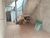 Casa, 3 quartos, 90 m² - Foto 24