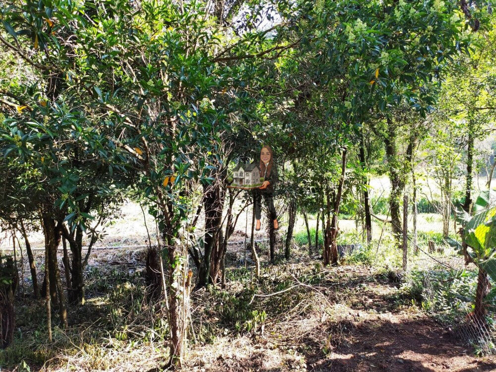 Terreno, 1300 m² - Foto 4