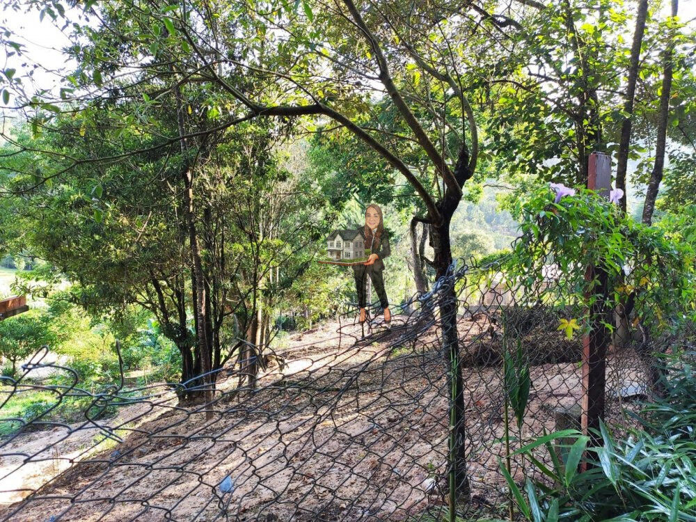 Terreno, 1300 m² - Foto 3