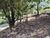 Terreno, 1300 m² - Foto 1