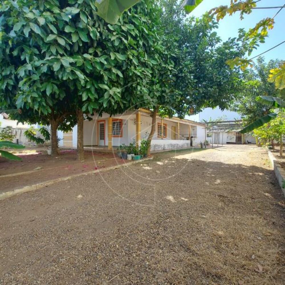Casa à venda com 4 quartos, 285m² - Foto 2