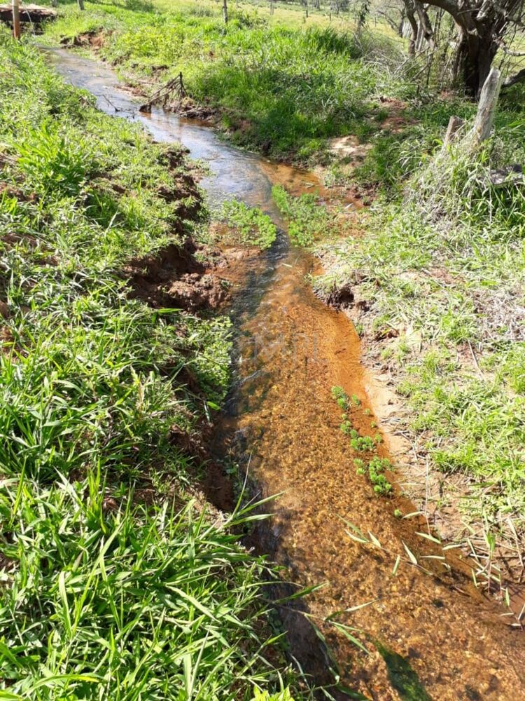 Sítio, 2 quartos, 3 hectares - Foto 8