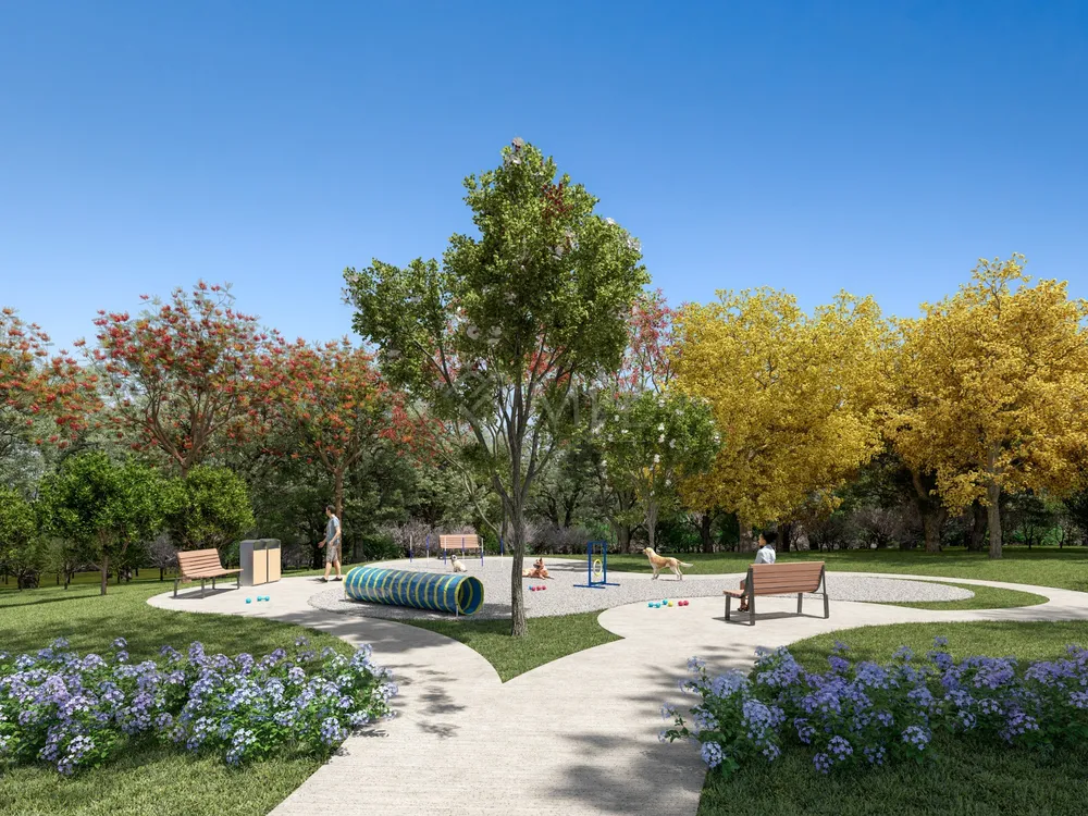 Terreno, 555 m² - Foto 7