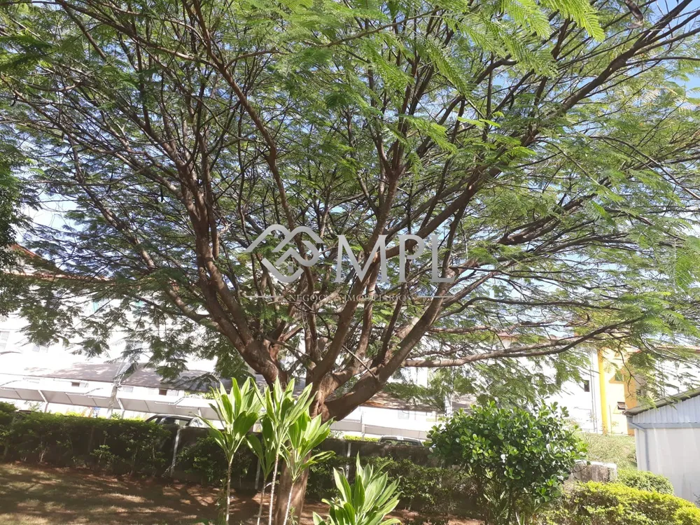Apartamento, 3 quartos, 64 m² - Foto 19