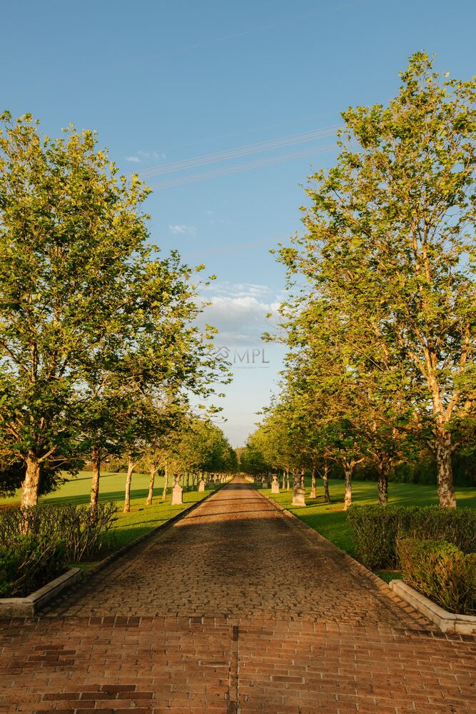 Terreno, 598 m² - Foto 7