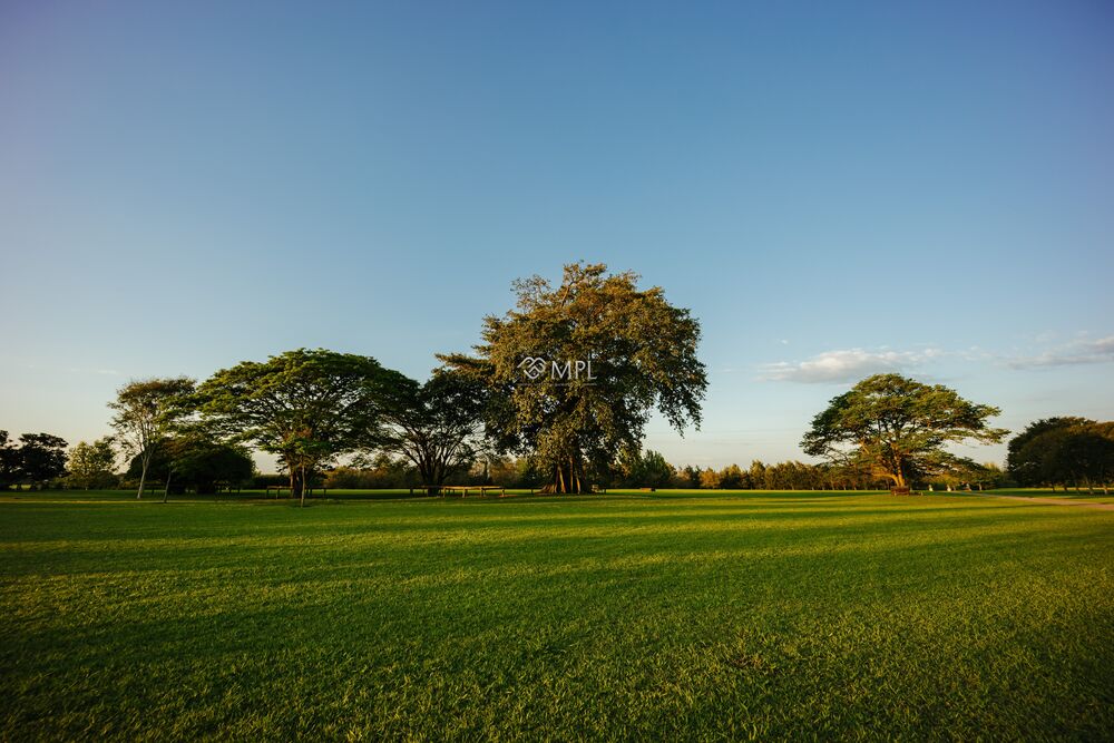 Terreno, 598 m² - Foto 5