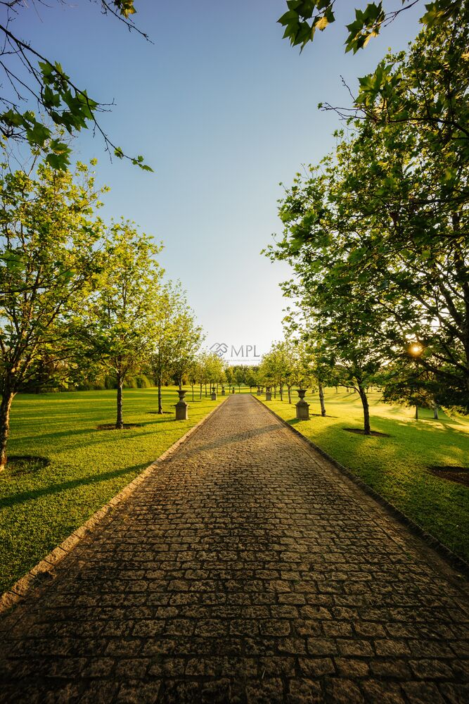 Terreno, 598 m² - Foto 6