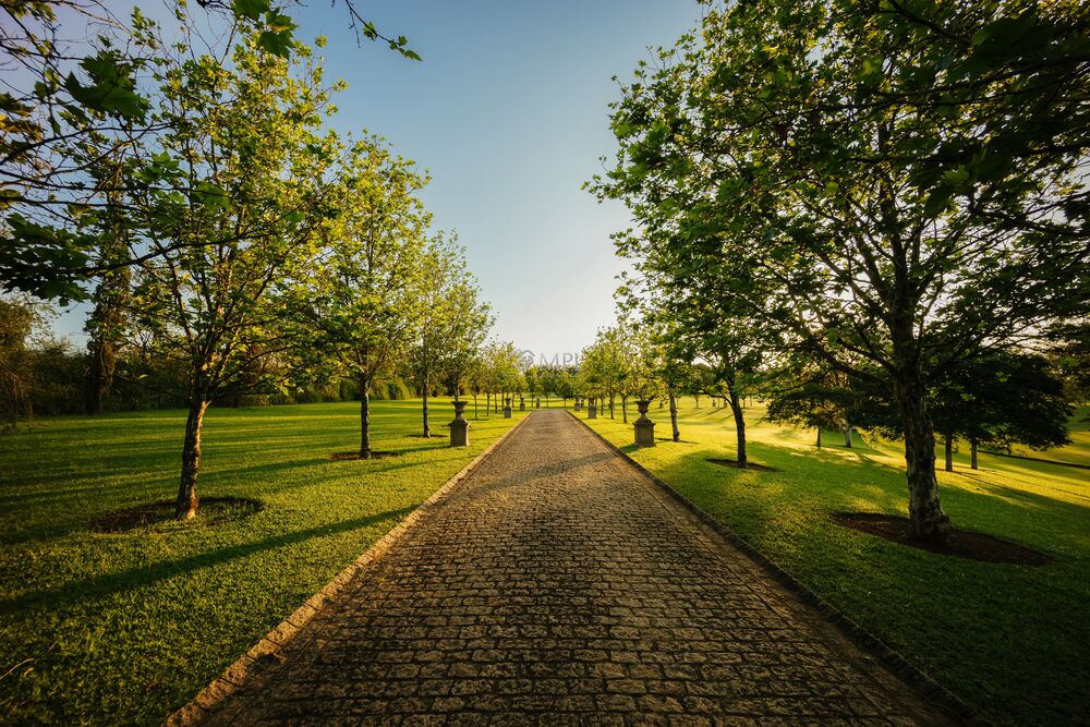 Terreno, 532 m² - Foto 1