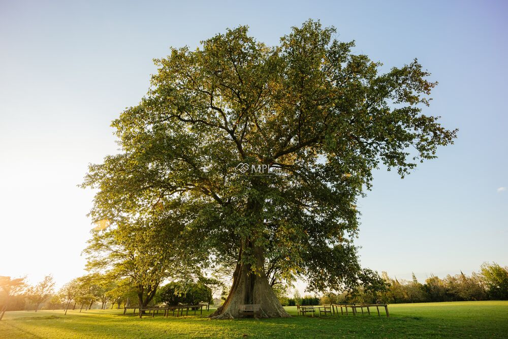 Terreno, 669 m² - Foto 8