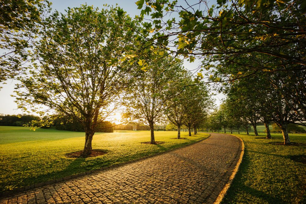 Terreno, 669 m² - Foto 2