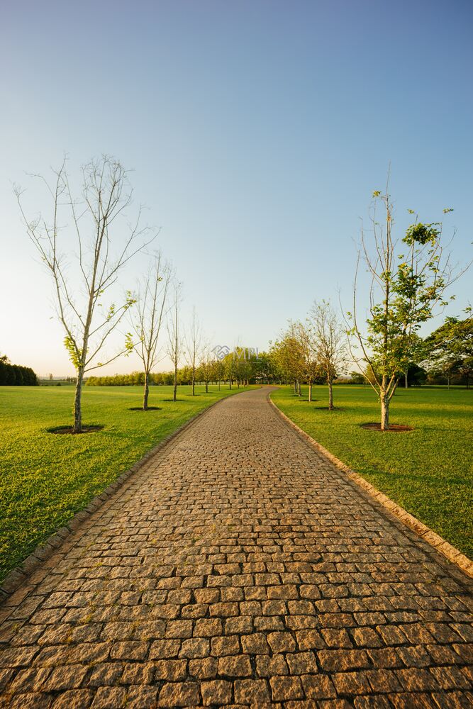 Terreno, 669 m² - Foto 6