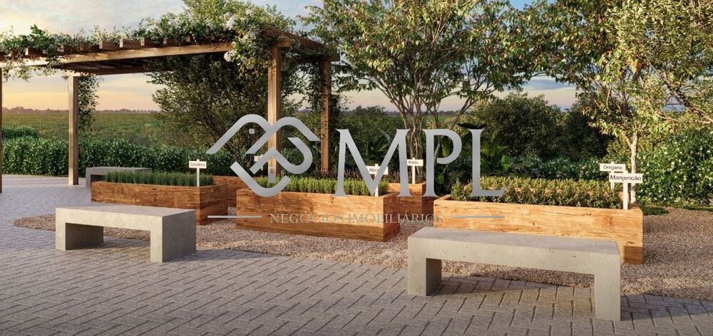 Terreno, 5 hectares - Foto 3