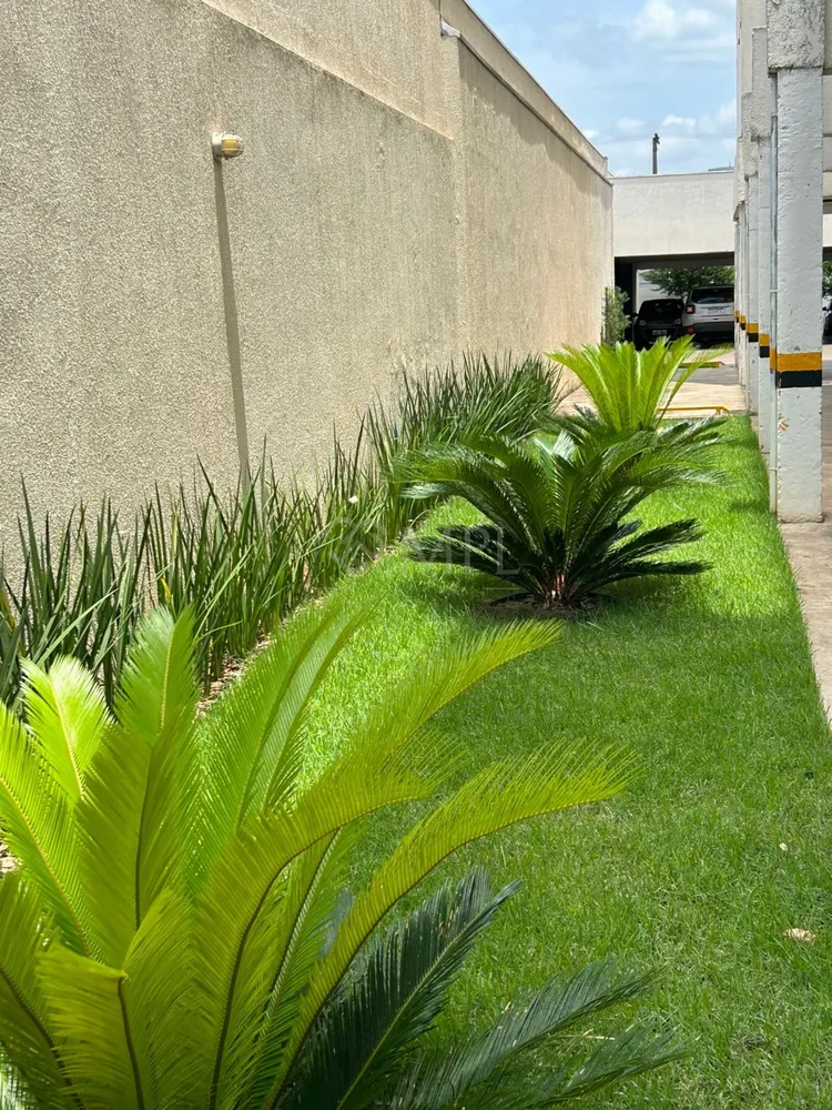 Apartamento, 3 quartos, 80 m² - Foto 12
