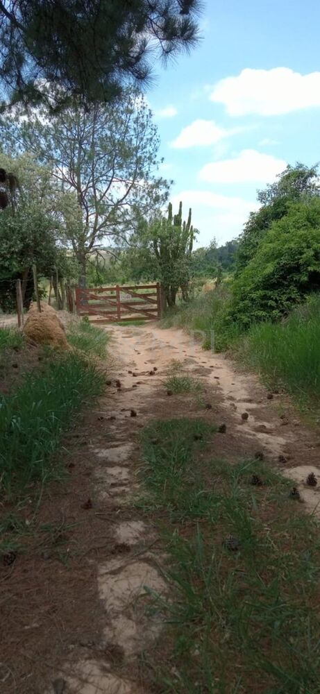 Terreno, 39 m² - Foto 3