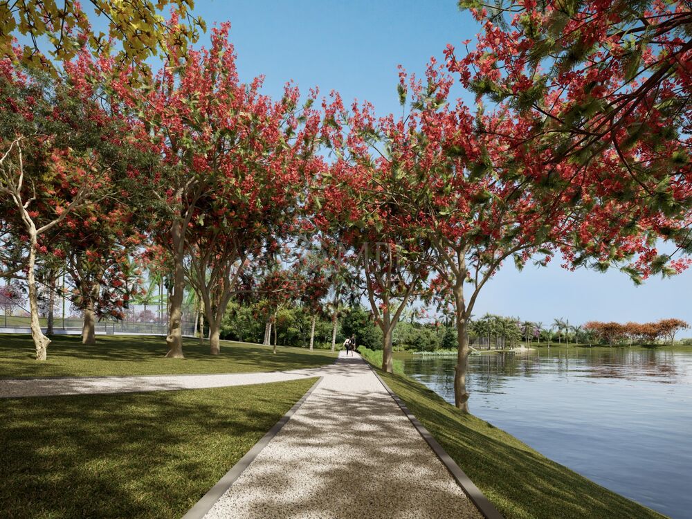 Terreno, 598 m² - Foto 3