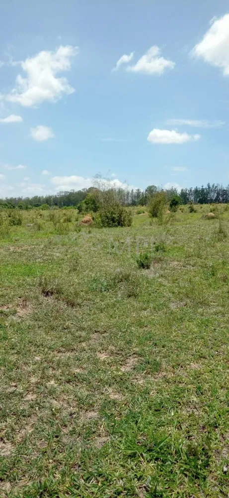 Terreno, 39 m² - Foto 6