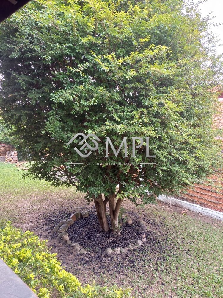 Chácara, 3 quartos, 1000 m² - Foto 2