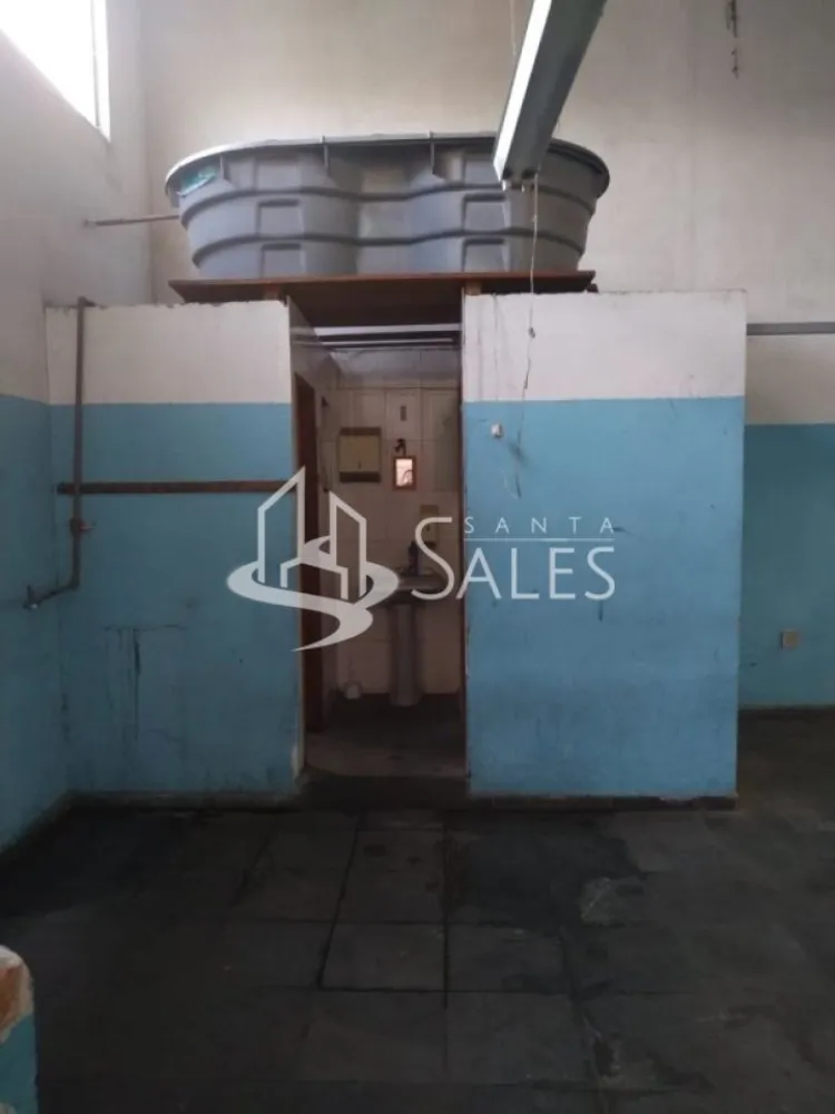Sala-Conjunto, 250 m² - Foto 3