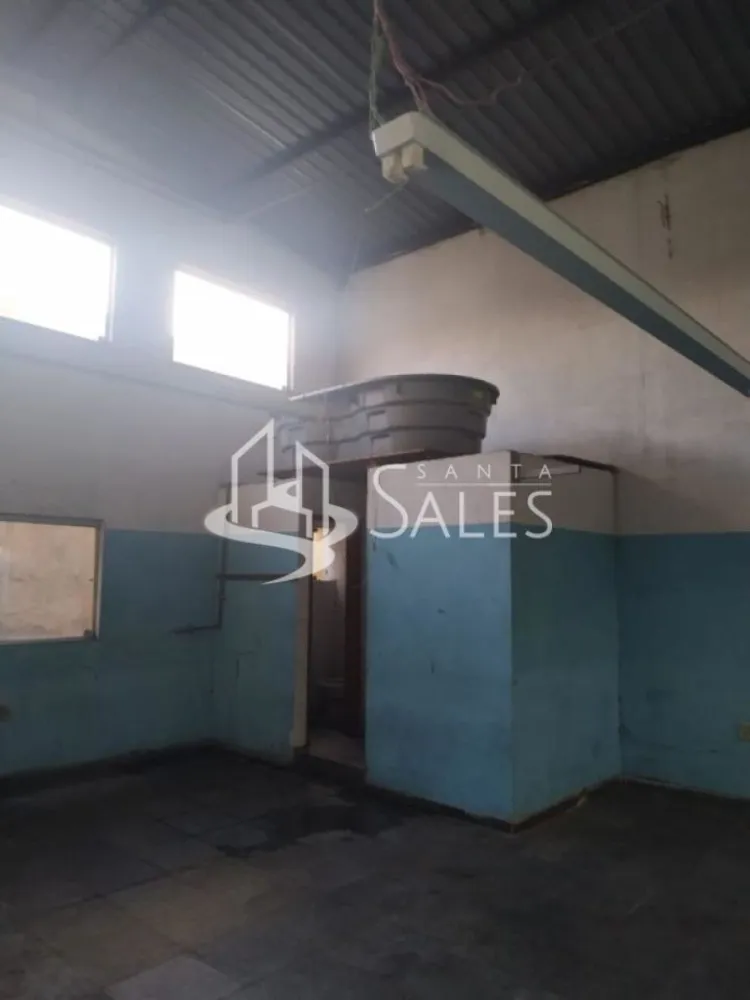 Sala-Conjunto, 250 m² - Foto 4