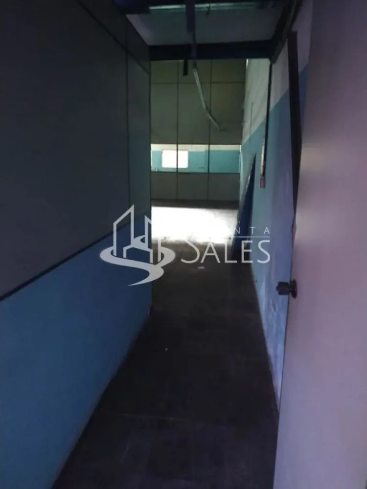 Sala-Conjunto, 250 m² - Foto 5