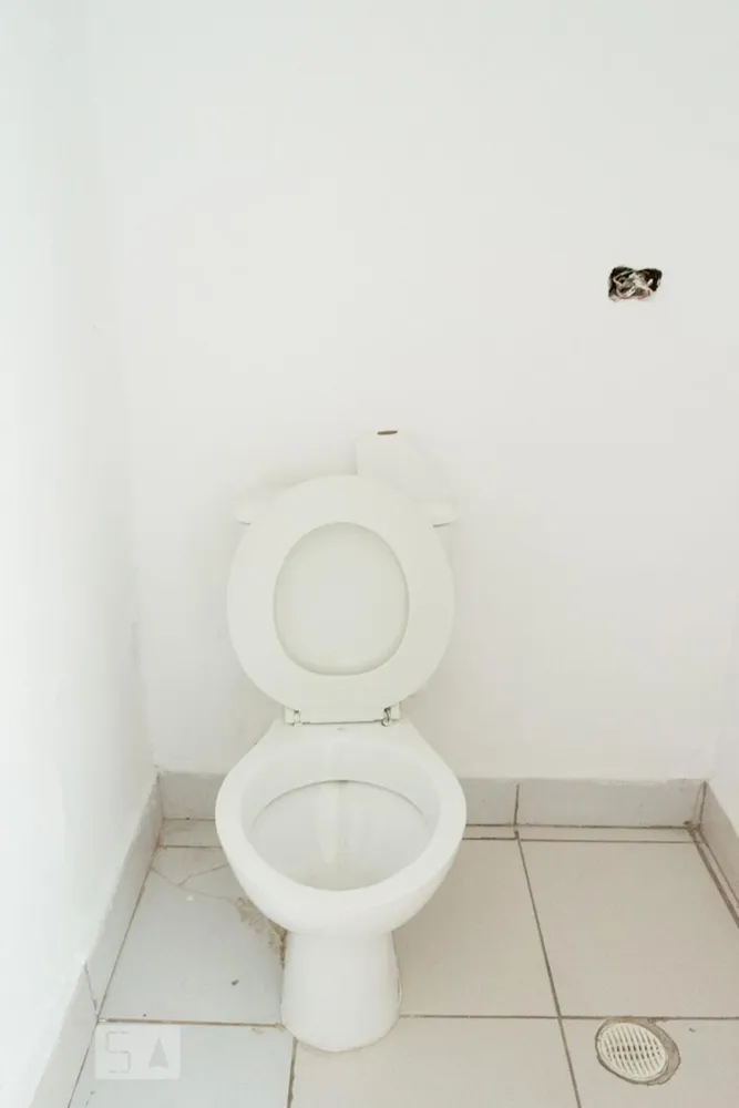 Casa, 5 quartos, 250 m² - Foto 8