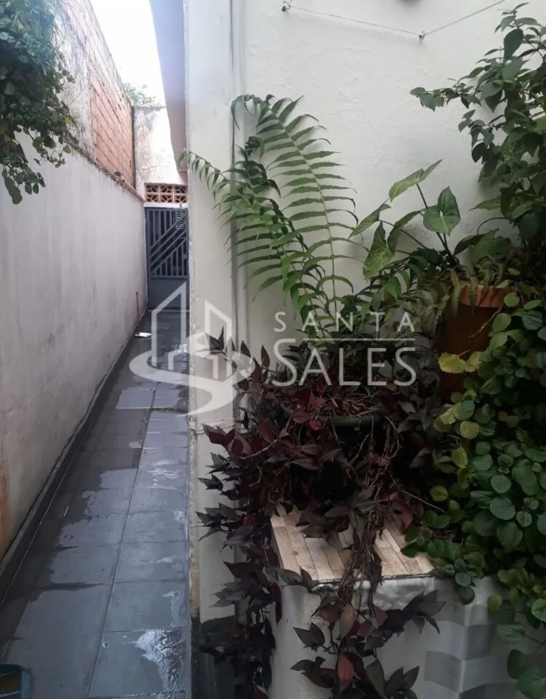 Casa, 5 quartos, 150 m² - Foto 5