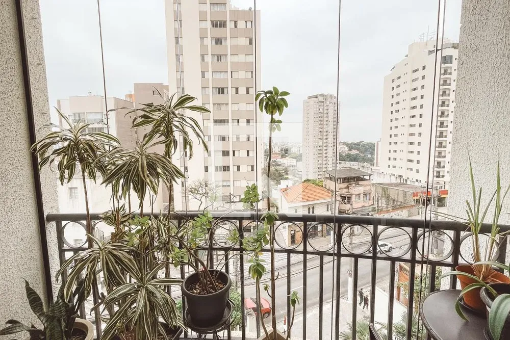 Apartamento, 3 quartos, 78 m² - Foto 3