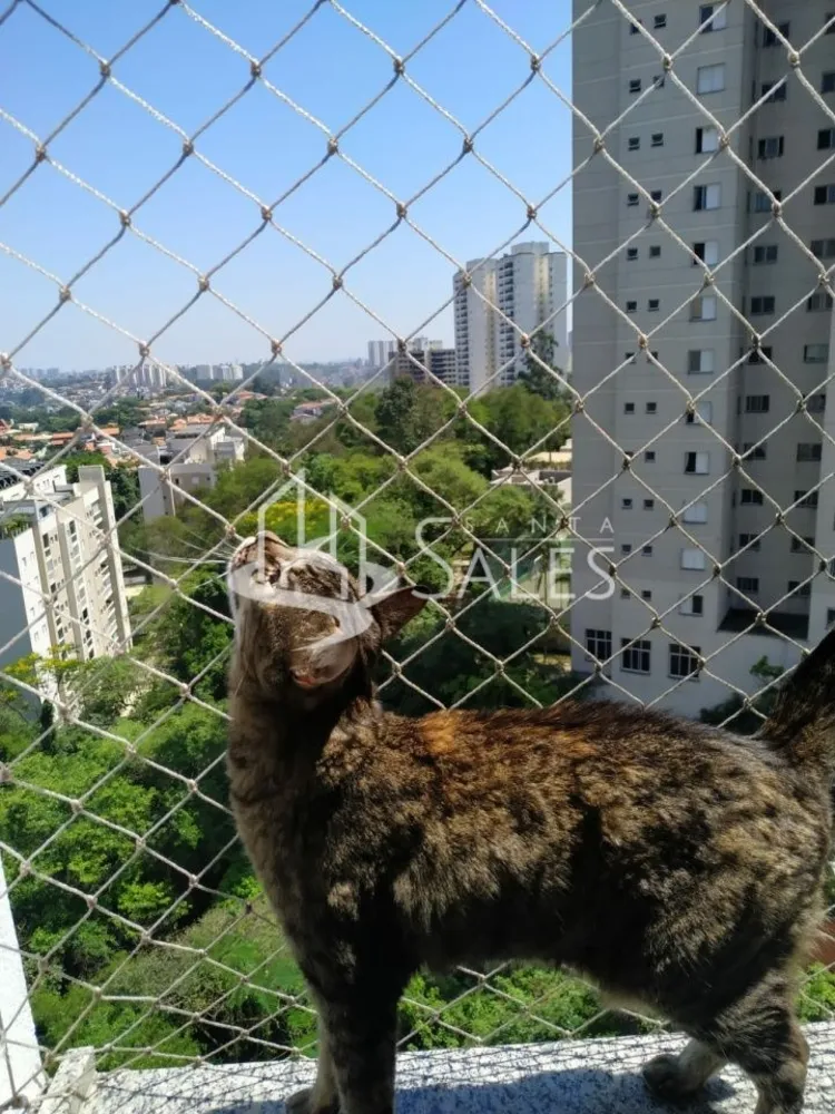 Apartamento, 4 quartos, 199 m² - Foto 12