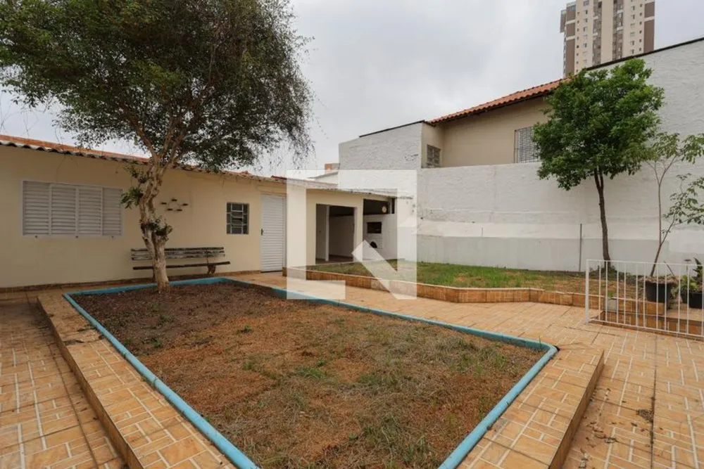 Casa, 4 quartos, 170 m² - Foto 6