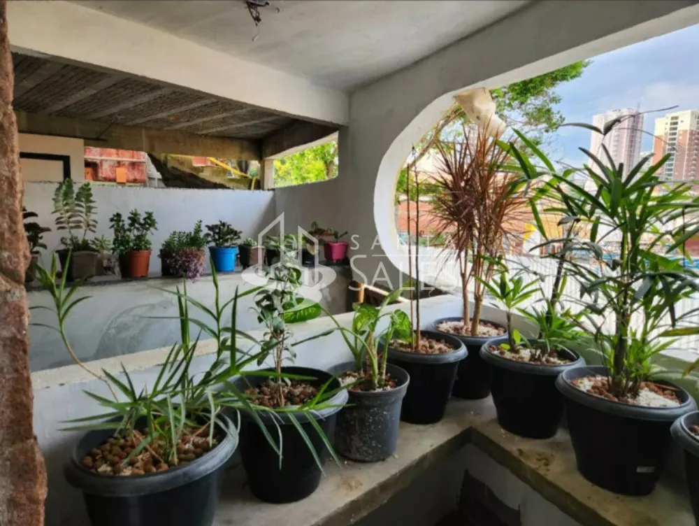 Casa, 4 quartos, 280 m² - Foto 3