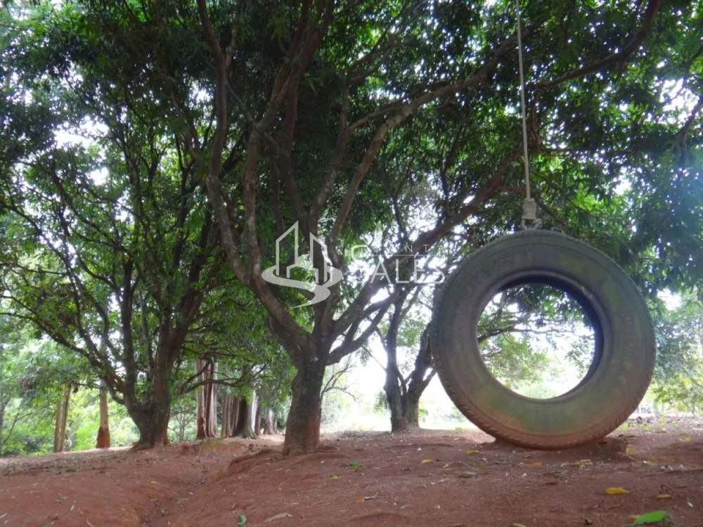 Chácara, 3 quartos, 2 hectares - Foto 15