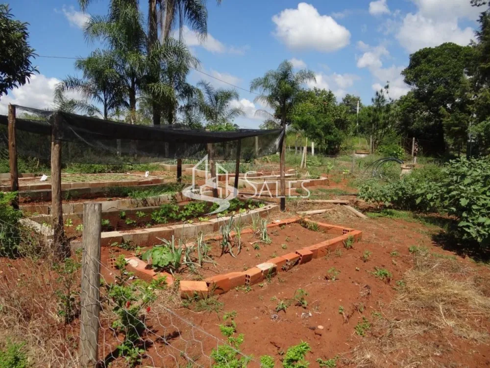 Chácara, 3 quartos, 2 hectares - Foto 16