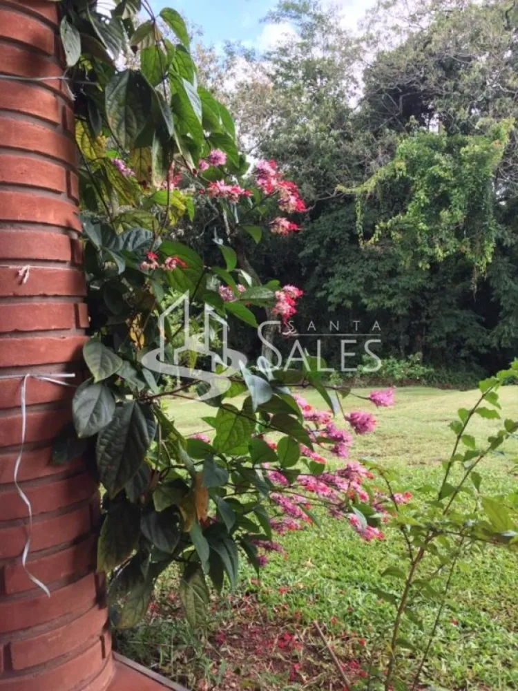 Sítio, 3 quartos, 15 hectares - Foto 4