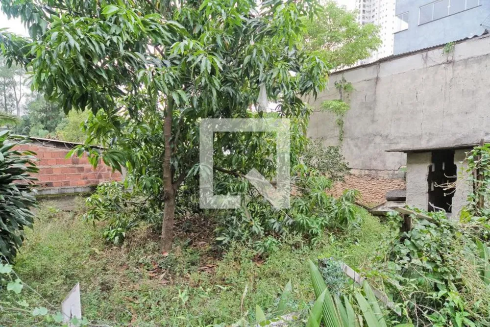 Casa, 2 quartos, 300 m² - Foto 4