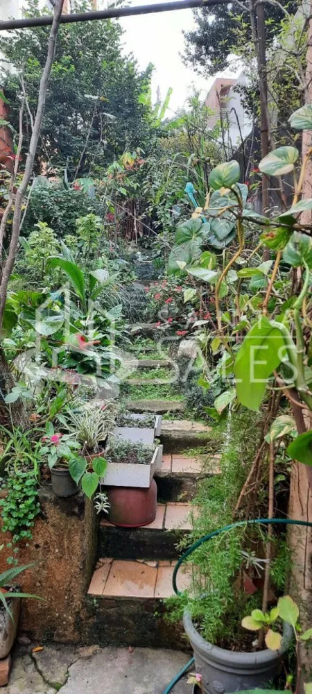 Casa, 3 quartos, 267 m² - Foto 6