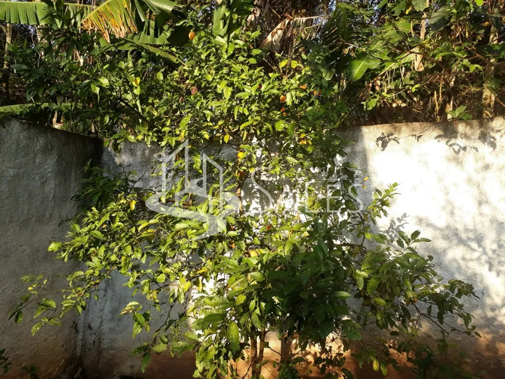 Chácara, 3 quartos - Foto 7