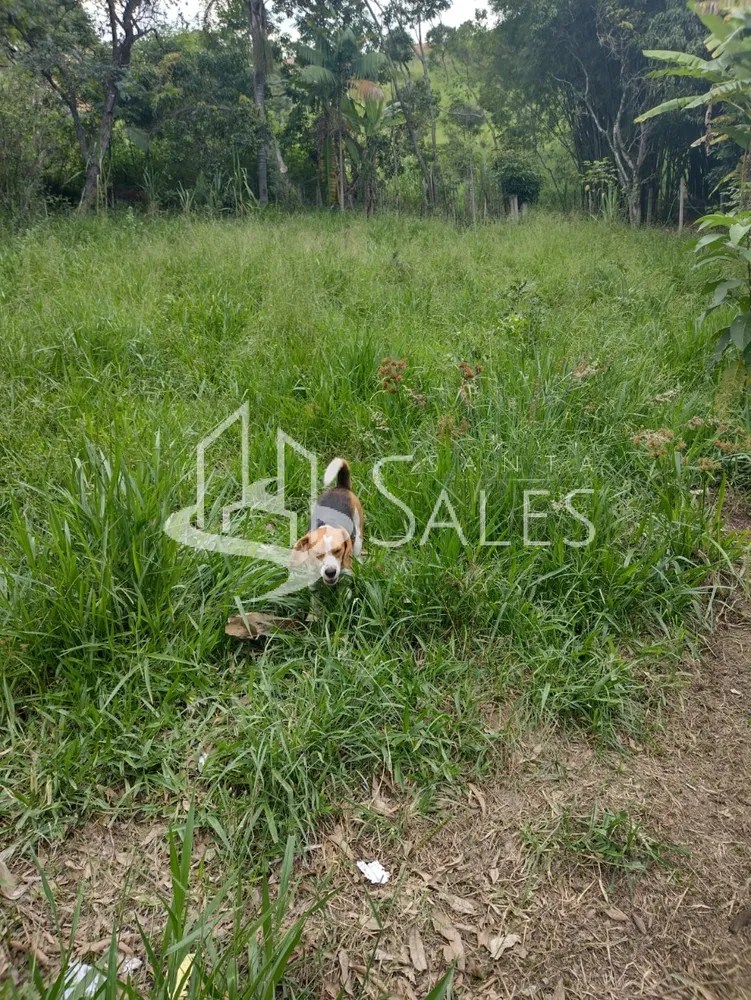 Terreno, 2100 m² - Foto 3