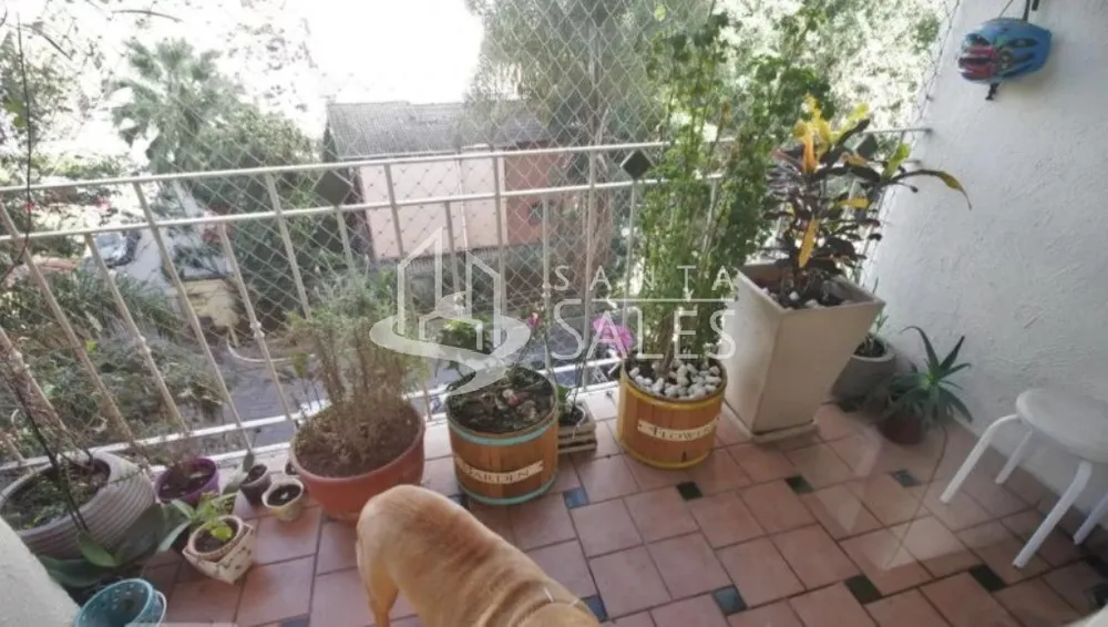 Apartamento, 4 quartos, 94 m² - Foto 4