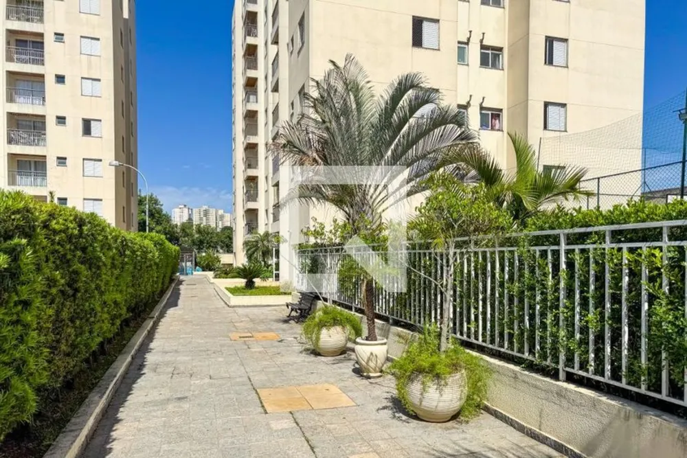 Apartamento, 3 quartos, 60 m² - Foto 1
